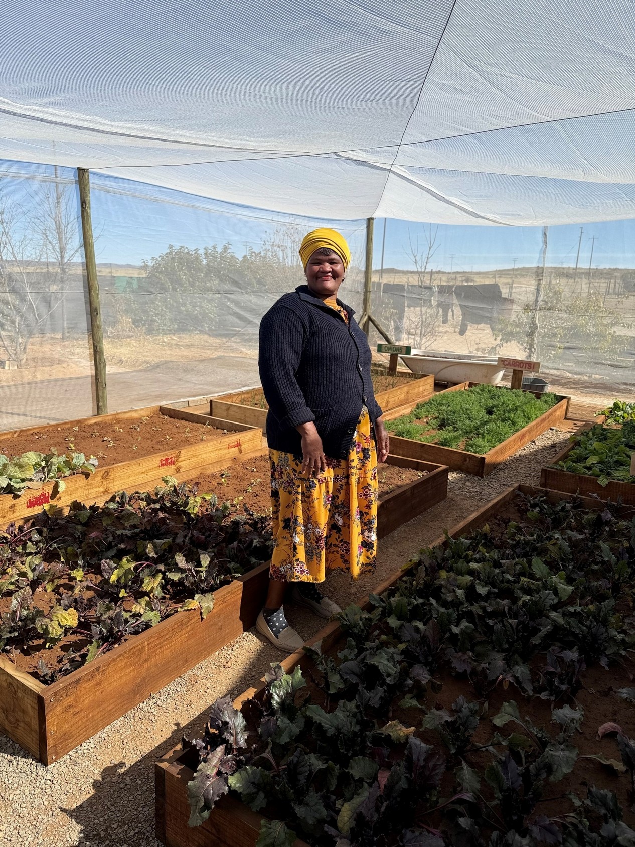 Woman tending raised beds in a community food garden greenhouse